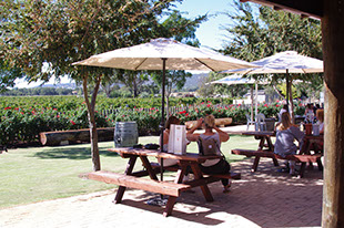The new cellar door garden and deck